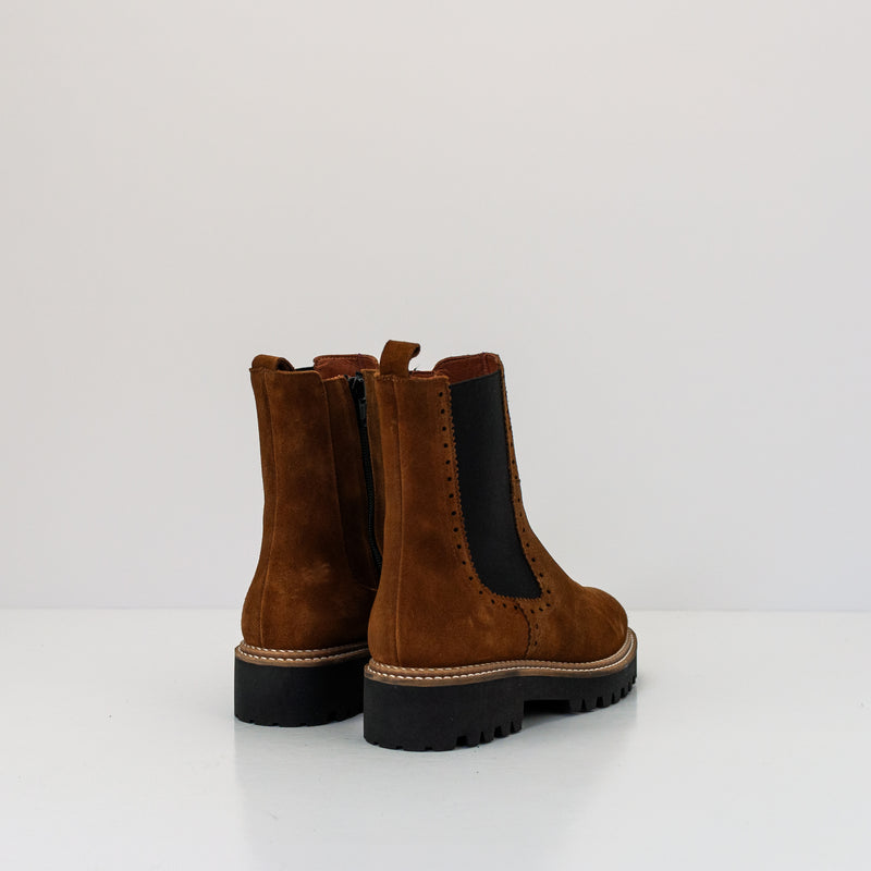 BOTIN - SEIALE - RIMEIRO CAMEL